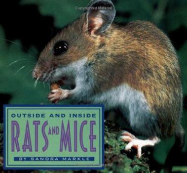 Hardcover Outside and Inside Rats and Mice Book