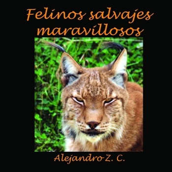 Paperback Felinos Salvajes Maravillosos [Spanish] Book