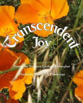 Paperback Transcendent Joy Book