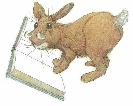 Paperback The January Rabbit Book