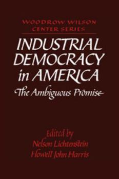 Paperback Industrial Democracy in America: The Ambiguous Promise Book