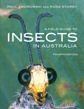 Paperback A Field Guide to Insects of Australia Book