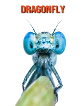 Dragonfly: Amazing Facts & Pictures