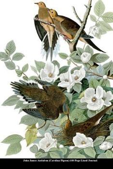 Paperback John James Audubon (Carolina Pigeon) 100 Page Lined Journal: Blank 100 Page Lined Journal for Your Thoughts, Ideas, and Inspiration Book