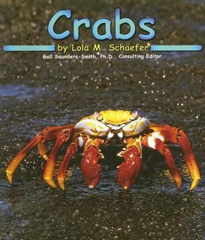 Crabs (Ocean Life) (Pebble Books) - Book  of the Pebble Books: Ocean Life