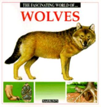Paperback The Fascinating World of Wovles Book