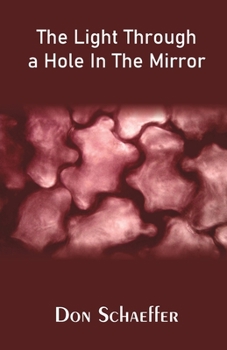 Paperback The Light Through a Hole In The Mirror Book