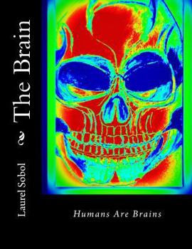 The Brain
