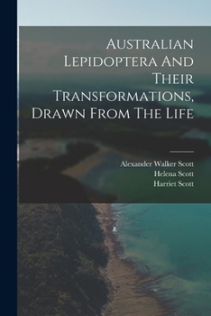Paperback Australian Lepidoptera And Their Transformations, Drawn From The Life Book