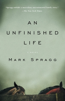 Paperback An Unfinished Life Book