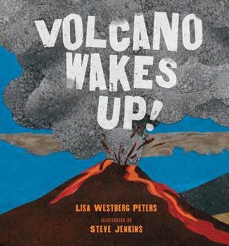 Hardcover Volcano Wakes Up! Book