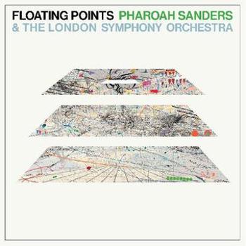Vinyl Floating Points (Standard Vinyl) Book