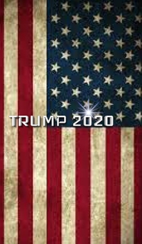 Hardcover Trump American Flag 2020 Creative Journal: Classic Trump American Flag 2020 creative writing drawing journal Book