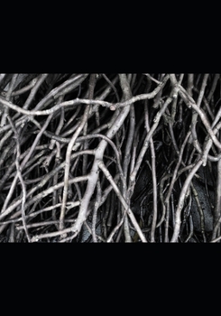 Paperback Passages in the Life of a Buffalo Book