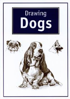 Paperback Drawing Dogs Book