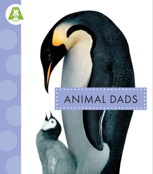 Hardcover Animal Dads Book