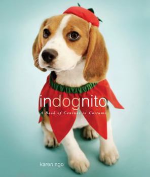 Hardcover Indognito: A Book of Canines in Costume Book