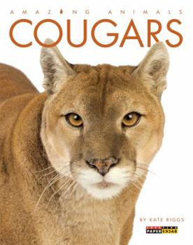 Cougars - Book  of the Amazing Animals
