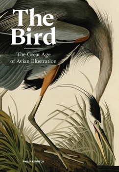 Hardcover The Bird: The Great Age of Avian Illustration Book