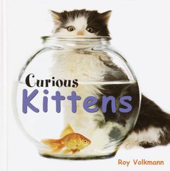 Hardcover Curious Kittens Book