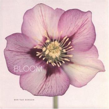 Hardcover Bloom Book