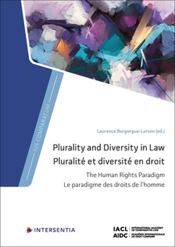 Hardcover Plurality and Diversity in Law: The Human Rights Paradigm Book