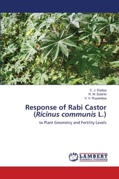 Paperback Response of Rabi Castor (Ricinus communis L.) Book