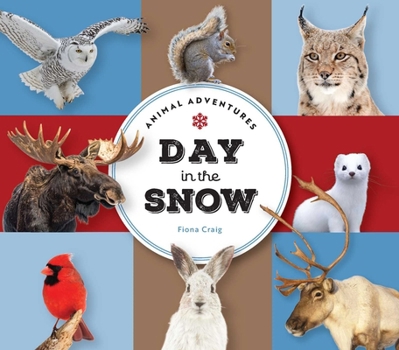 Board book Animal Adventures: Day in the Snow Book
