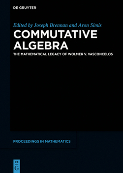 Hardcover Commutative Algebra: The Mathematical Legacy of Wolmer V. Vasconcelos Book
