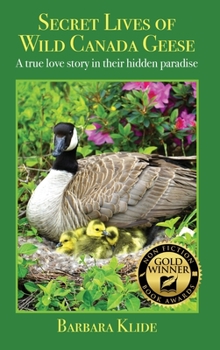 Hardcover Secret Lives of Wild Canada Geese: A true love story in their hidden paradise Book