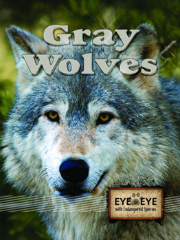 Paperback Gray Wolves Book