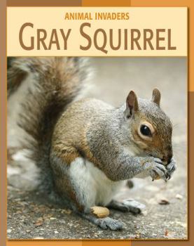 Library Binding Gray Squirrel Book