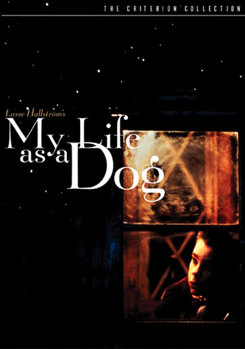 DVD My Life As A Dog Book