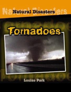 Library Binding Tornadoes Book