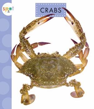 Crabs - Book  of the Spot Ocean Animals