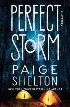 Hardcover Perfect Storm: A Mystery Book