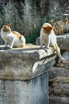 Cats at the Ruins in Ephesus Turkey Journal: 150 Page Lined Notebook/Diary