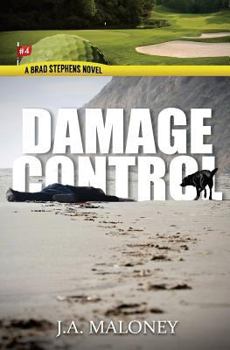Paperback Damage Control: A Brad Stephens Novel. Hole #4 Book