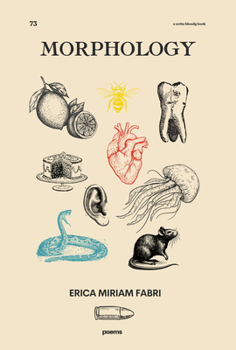 Paperback Morphology Book