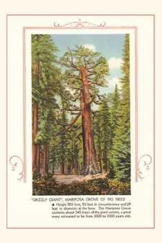 Paperback The Vintage Journal Grizzly giant, Mariposa Big Trees Book