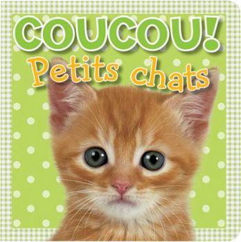 Board book Coucou! Petits Chats [French] Book