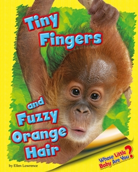 Tiny Fingers and Fuzzy Orange Hair - Book  of the Whose Little Baby Are You?