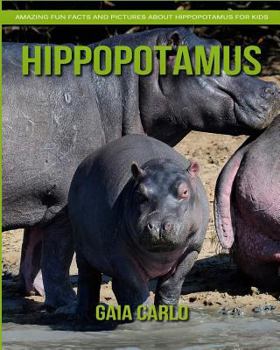 Paperback Hippopotamus: Amazing Fun Facts and Pictures about Hippopotamus for Kids Book