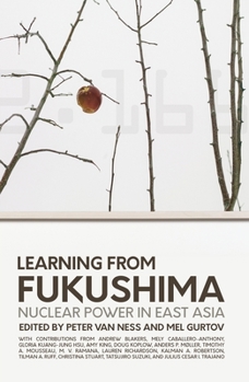 Paperback Learning from Fukushima: Nuclear power in East Asia Book
