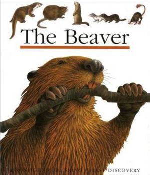 Spiral-bound The Beaver Book