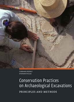 Paperback Conservation Practices on Archaeological Excavations: Principles and Methods Book