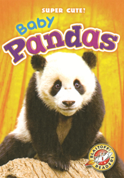 Library Binding Baby Pandas Book