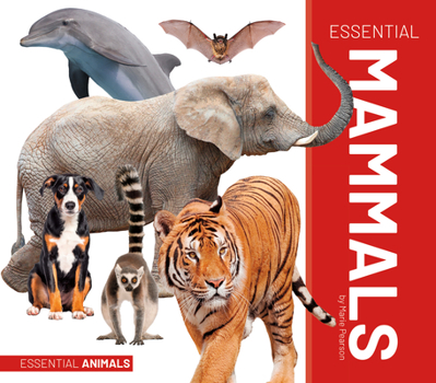 Library Binding Essential Mammals Book