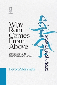 Paperback Why Rain Comes from Above: Explorations in Religious Imagination Book