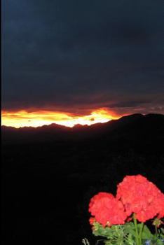 Paperback Con Denti Trasparenti [Italian] Book